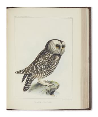 (BIRDS.) Baird, Spencer F.; and Cassin, John. The Birds of North America.